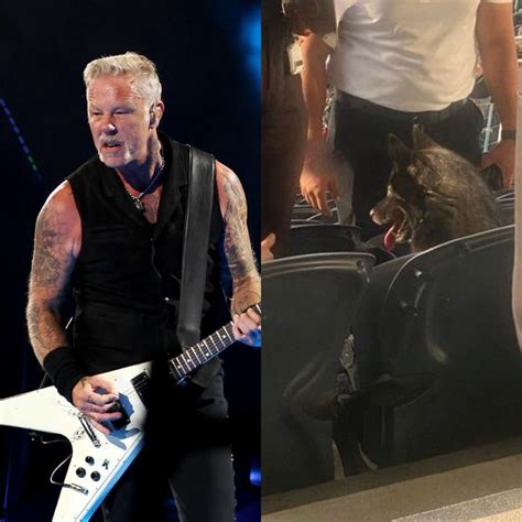 Rock-loving pup runs away from home to sneak into Metallica concert The Akita mix dog, named Storm, found himself in the midst of some trouble after sneaking into the thrash-metal band's show. By Bernadette Giacomazzo. 19:18 ET, Mon, Sep 4, 2023 | UPDATED: 19:29 ET, Mon, Sep 4, 2023. Link copied Bookmark. Britney Spears …